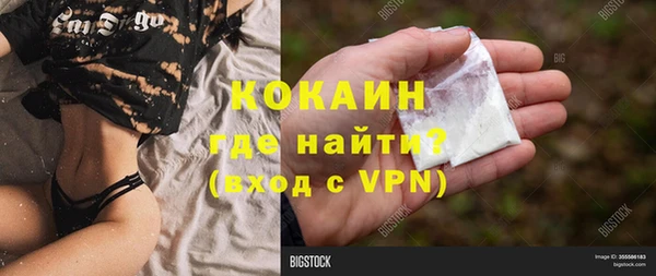 прущие грибы Аркадак