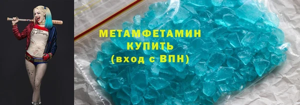 прущие грибы Аркадак