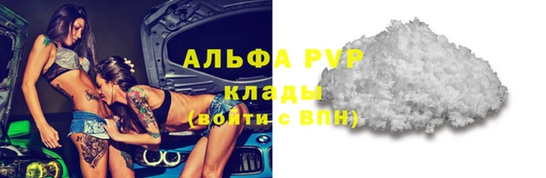 прущие грибы Аркадак