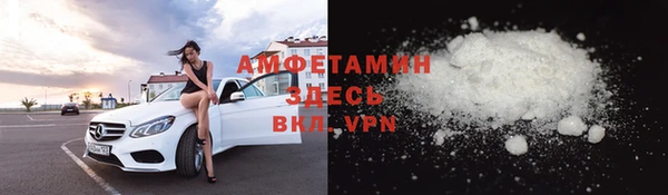 прущие грибы Аркадак