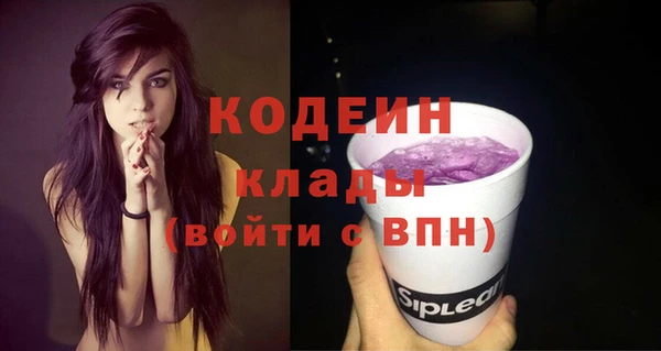 прущие грибы Аркадак