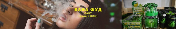 прущие грибы Аркадак